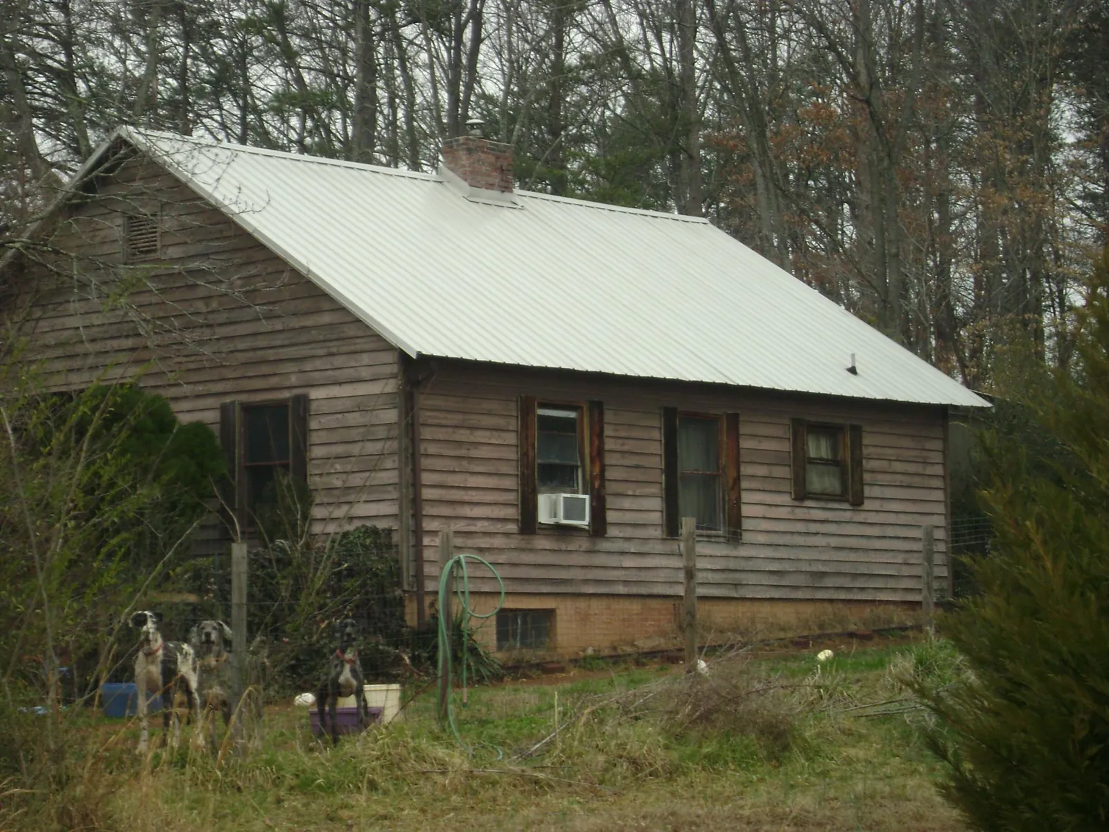 White metal roof on an old wood sided farmhouse, from a Asphalt Shingle Roof Repair job in Callahan